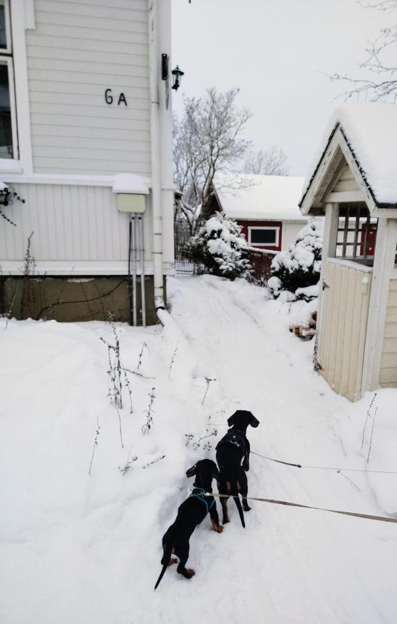 Viinikan Taehti Lemmikkiystaevaellinen Kotimajoitus Daire Tampere Dış mekan fotoğraf